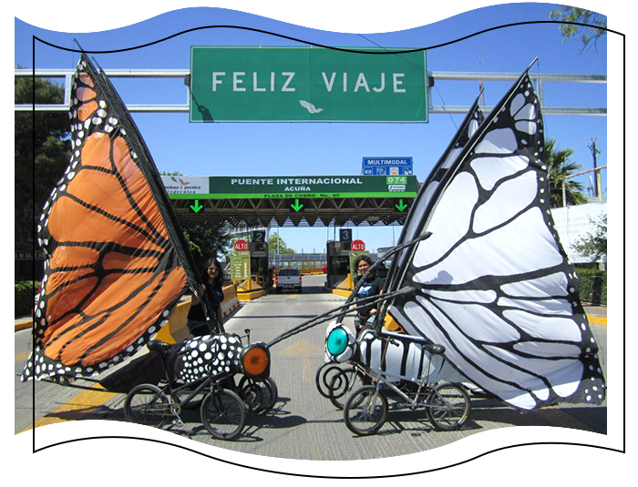 Butterflies by Austin Bike Zoo